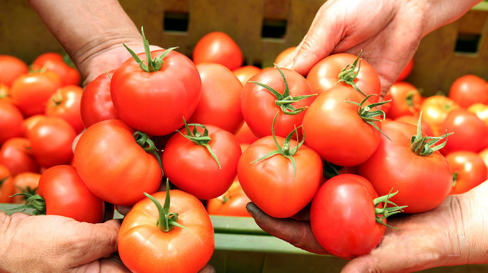 客戶(hù)見(jiàn)證 客戶(hù)見(jiàn)證